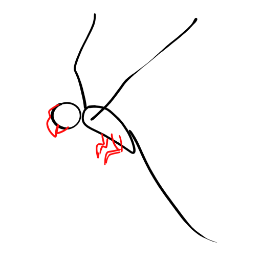 Parrot — step 3