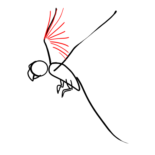 Parrot — step 4