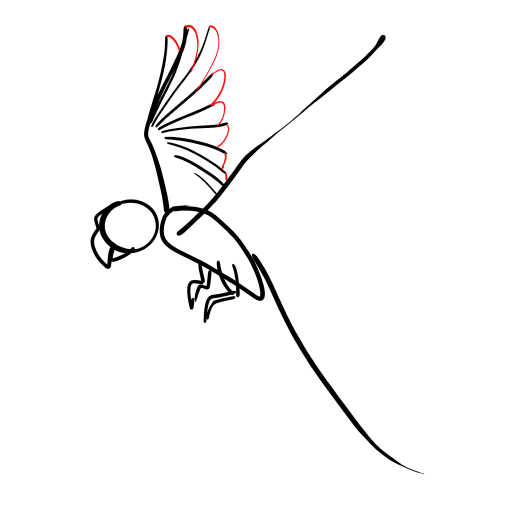 Parrot — step 5