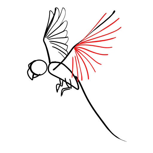 Parrot — step 6