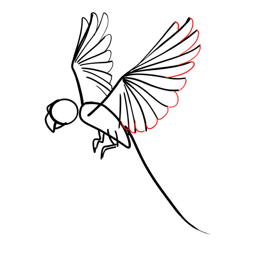 Parrot — step 7