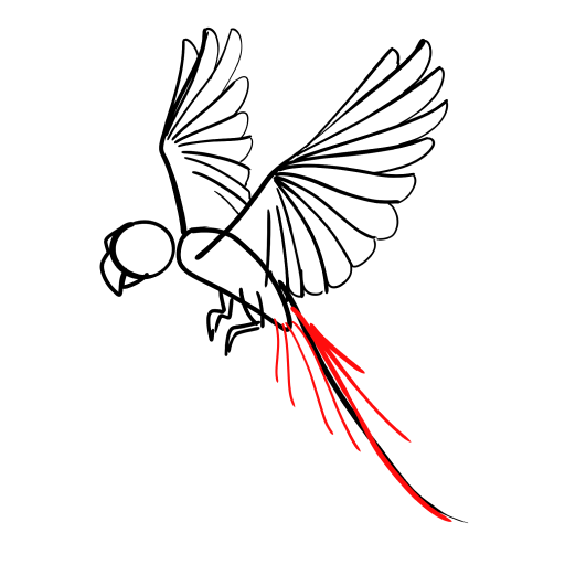 Parrot — step 8