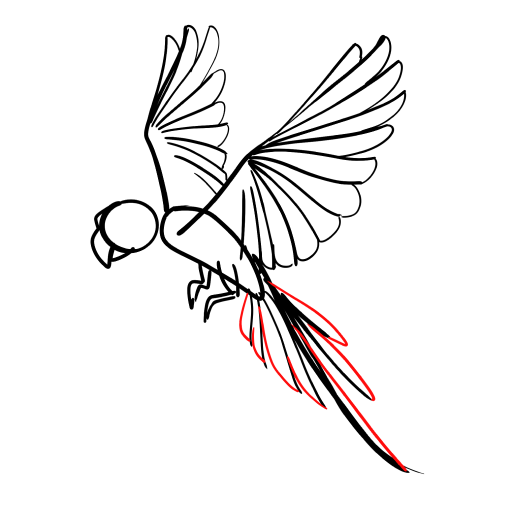 Parrot — step 9
