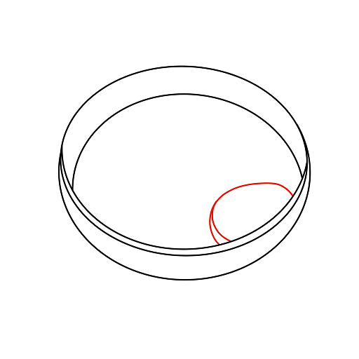 Ramen — step 5