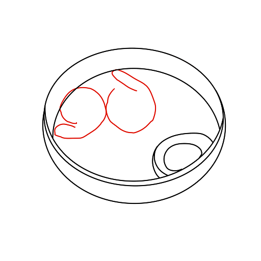 Ramen — step 7