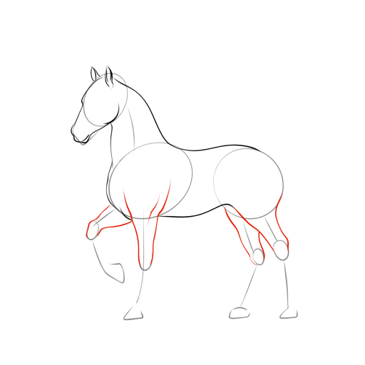 Unicorn — step 5